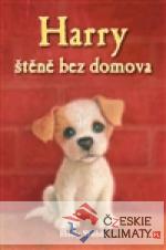 Harry, štěně bez domova