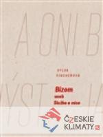 Bizom aneb Služba a mise