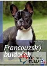 Francouzský buldoček