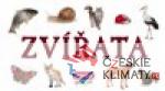 Skládanka - Zvířata