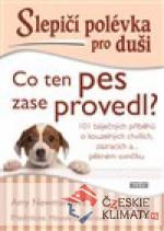 Slepičí polévka pro duši - Co ten pe...