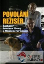 Povolání režisér