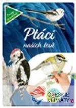 Ptáci našich lesů