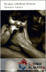 Krajina zahalená dýmem