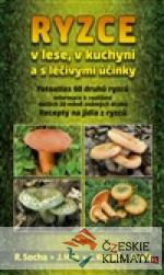 Ryzce