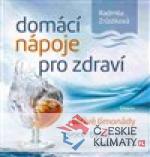 Domácí nápoje pro zdraví