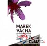 Tváří v tvář Zemi