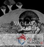 Václav Mergl - Mysterium hmoty