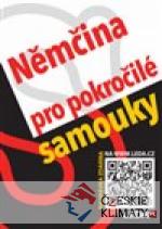 Němčina pro pokročilé samouky + mp3