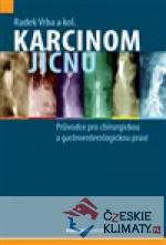 Karcinom jícnu