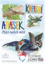 Ptáci našich měst