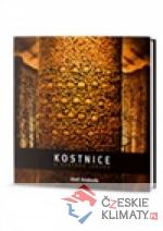 Kostnice