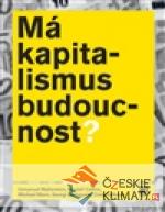 Má kapitalismus budoucnost?