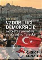 Vzdorující demokracie