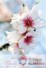 Epochy vedle mandloní