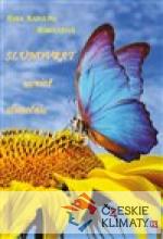 Slunovrat uvnitř slunečnic