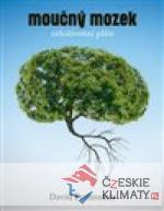 Moučný mozek: Celoživotní plán