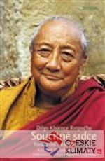 Soucitné srdce. Ponaučení o esenci soucí...