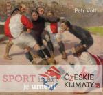 Sport je umění