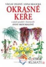 Okrasné keře a jejich použití