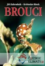 Brouci