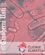 Činoherní Ústí. Ve znamení kovadliny...