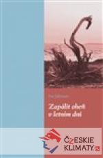 Zapálit oheň v letním dni