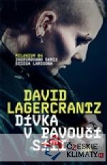 Dívka v pavoučí síti