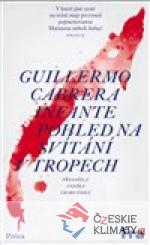 Pohled na svítání v tropech