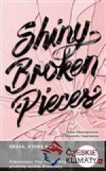 Shiny Broken Piece
