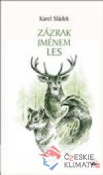 Zázrak jménem les