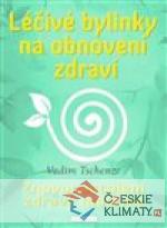 Léčivé bylinky na obnovení zdraví