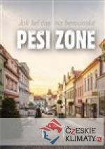 Jak šel čas na berounské Pěší zóně...