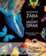 Rajčatová žába a modrý drak