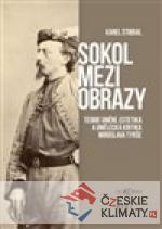 Sokol mezi obrazy