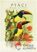 Ptáci - barvy pralesa
