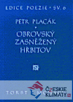 Obrovský zasněžený hřbitov