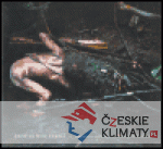 Proč je noc černá