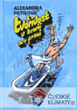 Tvořivost v teorii a v praxi