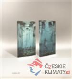 Obrazy  paintings - Martin Salajka