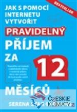 Pravidelný příjem za 12 měsíců