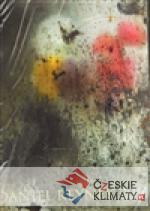 Kalendář Daniel Reynek 2011 - nástěn...