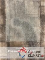 Před modlitbou přiložím