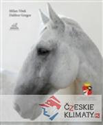 Ušlechtilost starokladrubských koní