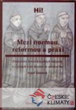 Mezi normou, reformou a praxí