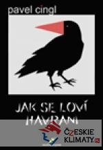 Jak se loví havrani