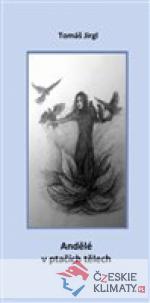 Andělé v ptačích tělech