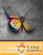 Násilí v sociálních službách