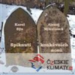 Spiknutí konkávních nosů