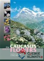 Caucasus and its Flowers